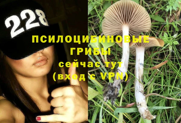 амф Наволоки