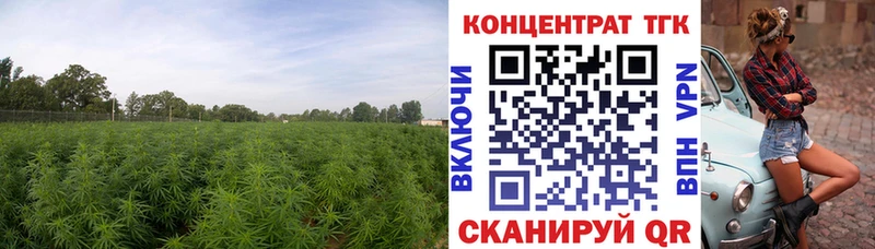 ТГК THC oil  Лабытнанги 