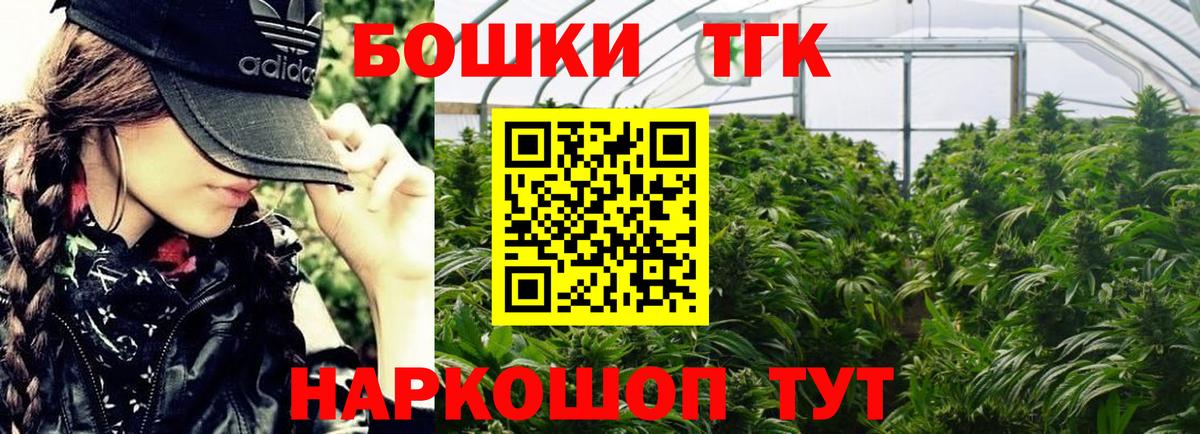 Каннабис марихуана  МАРИХУАНА сатива  Бошки марихуана семена  Каннабис Ganja  Лабытнанги 